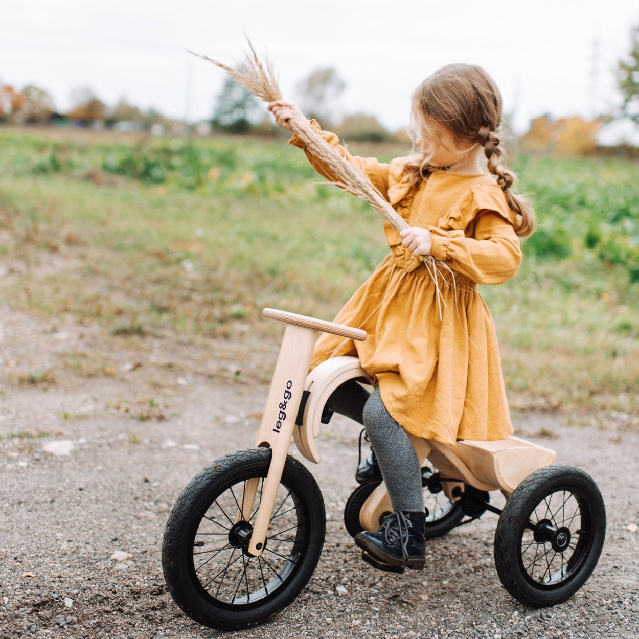 Bērnu tricikls (trīsritenis) no koka LegandGo